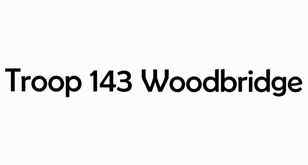 Scout troop activities